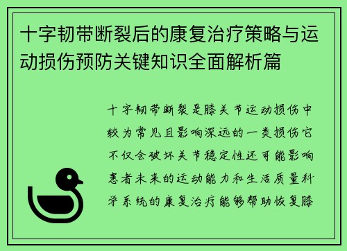 十字韧带断裂后的康复治疗策略与运动损伤预防关键知识全面解析篇 十字韧带断裂后的康复治疗策略与运动损伤预防关键知识全面解析篇